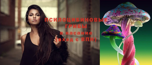 mdpv Остров