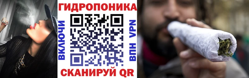 Купить закладки  Кировск  Бошки Шишки Amnesia 